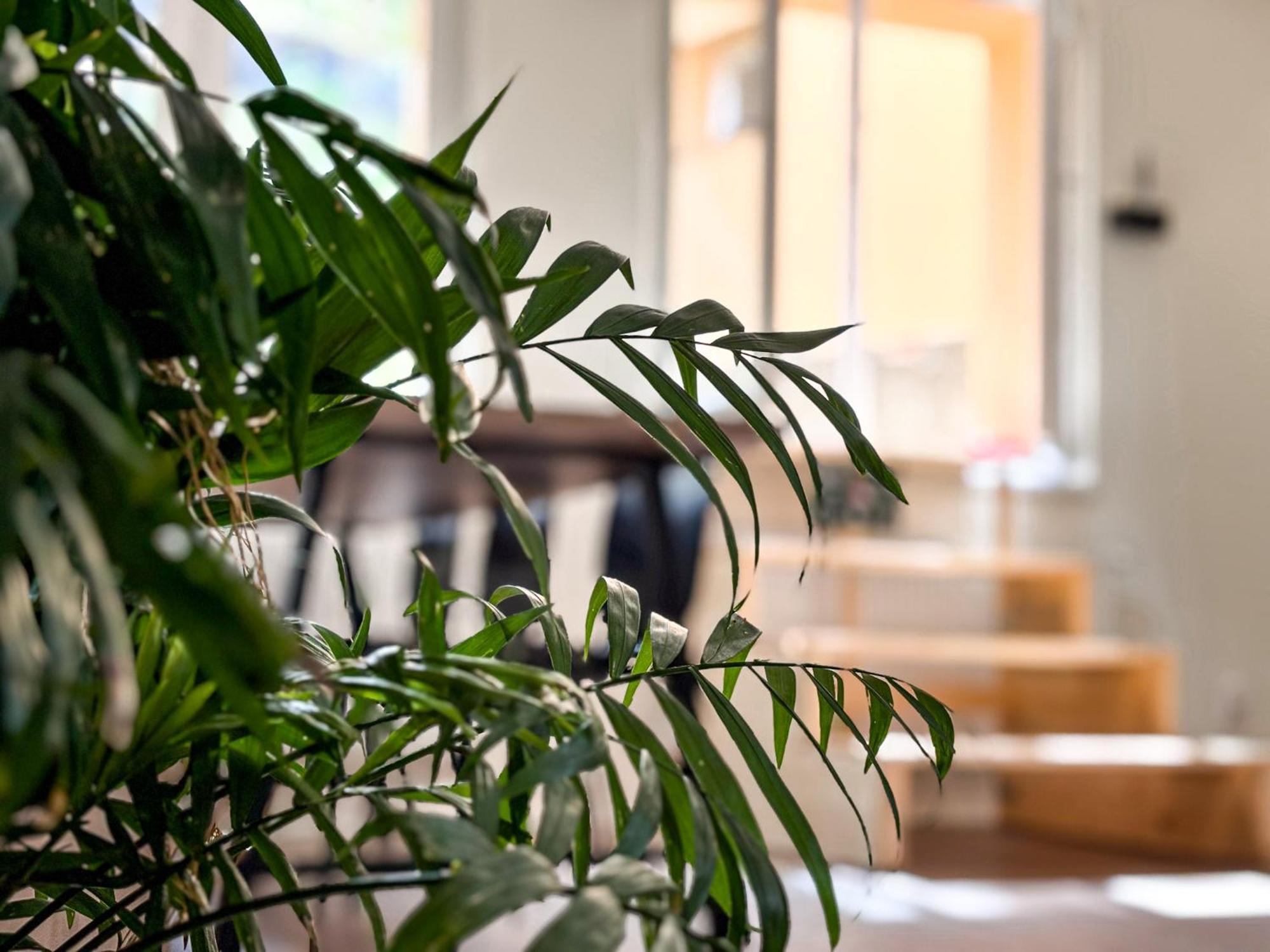 Remote Work Friendly Zahradni Apartman U Jezera Staré Splavy Extérieur photo