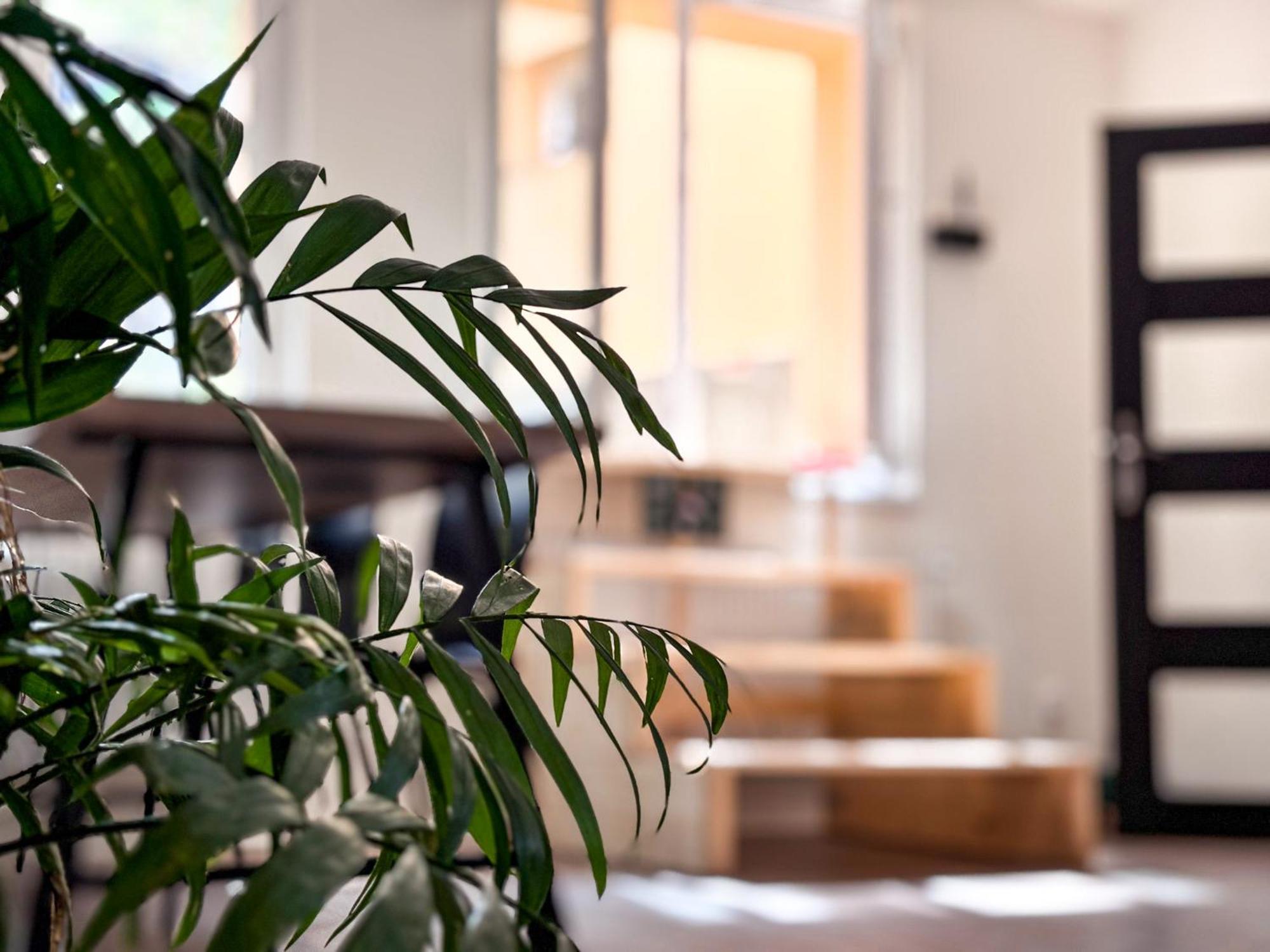 Remote Work Friendly Zahradni Apartman U Jezera Staré Splavy Extérieur photo